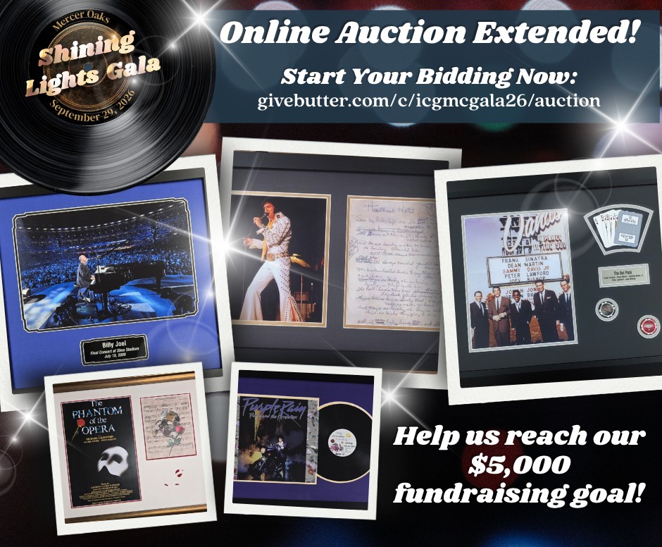 Online Auction Extended Bid Now